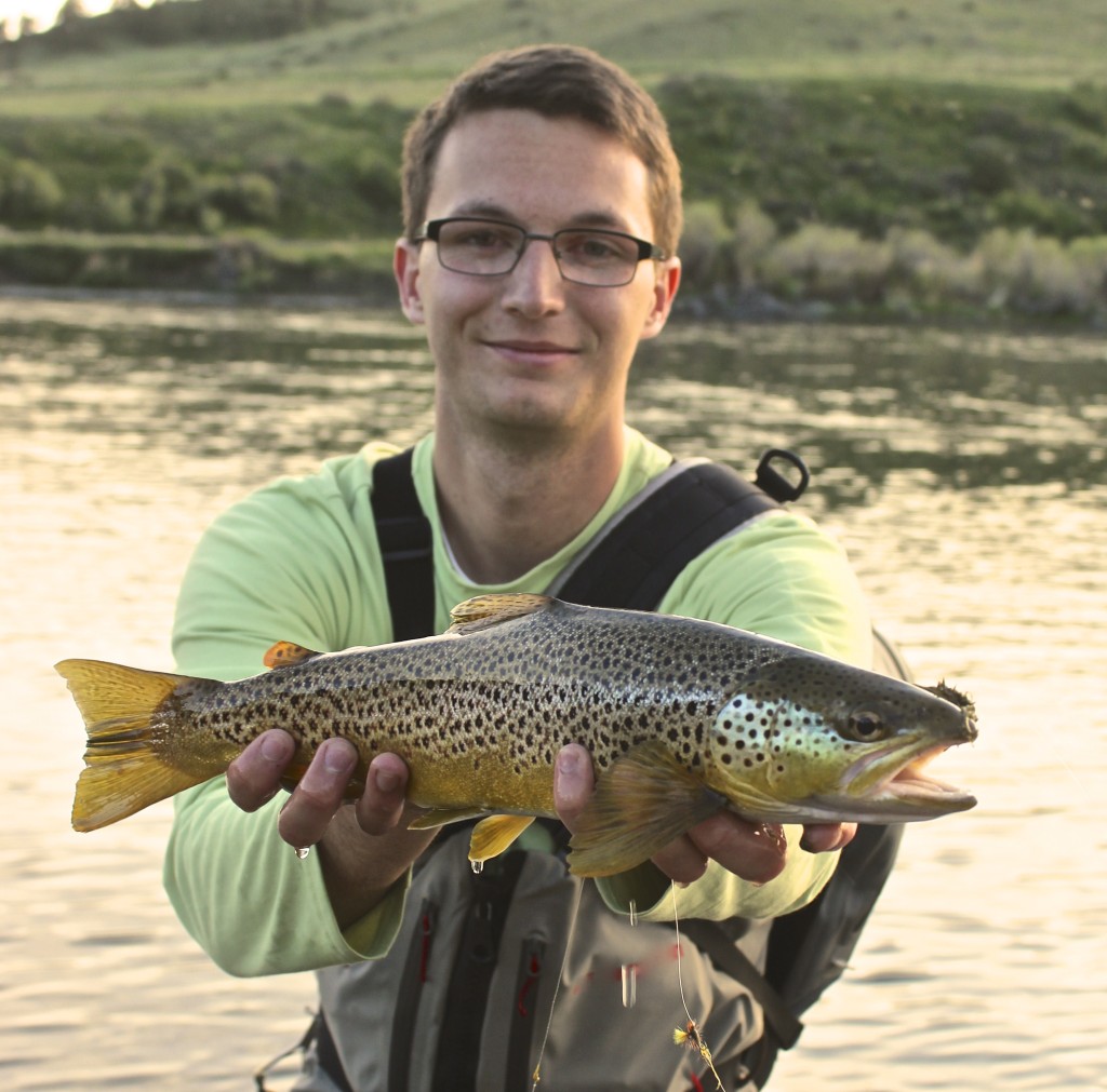 missouri-river-brown-trout (8) - CrossCurrents Fly Shop Missouri River ...